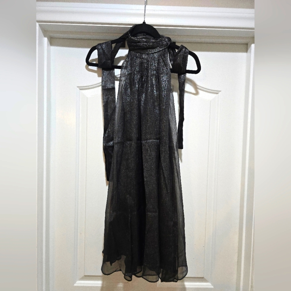 Shiny Black Dress